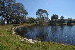 Picture of 10303 Chadbourne Drive, Tampa, FL 33624