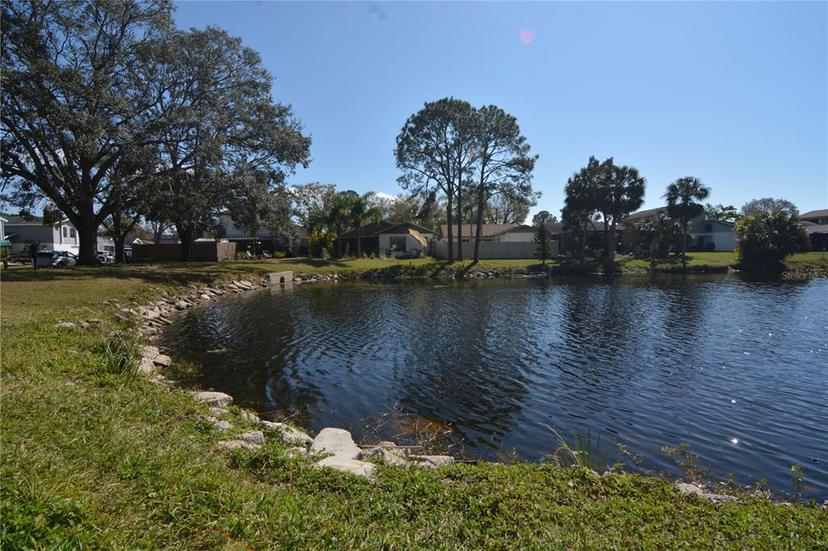 Picture of 10303 Chadbourne Drive, Tampa FL 33624