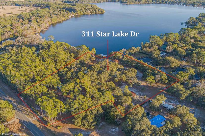 Picture of 311 Star Lake Drive, Hawthorne, FL 32640