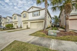 Picture of 4762 White Sanderling Court, Tampa, FL 33619