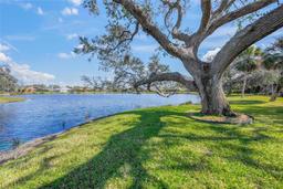 Picture of 4850 Sweetshade Drive, Sarasota, FL 34241