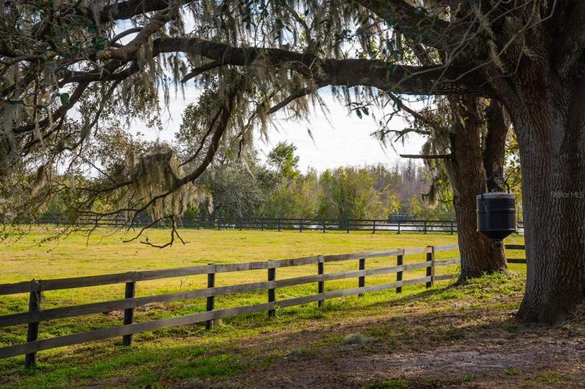 Picture of 18029 Lake Reflections Boulevard, Lutz FL 33558