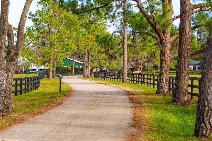 Picture of 18029 Lake Reflections Boulevard, Lutz FL 33558