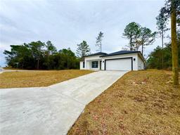 Picture of 2430 W Andromedae Drive, Dunnellon, FL 34433