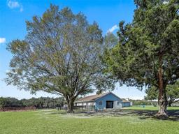 Picture of 250 NE 195Th Avenue, Williston, FL 32696