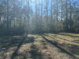 Picture of 1635 Berrybush Street, Bunnell, FL 32110