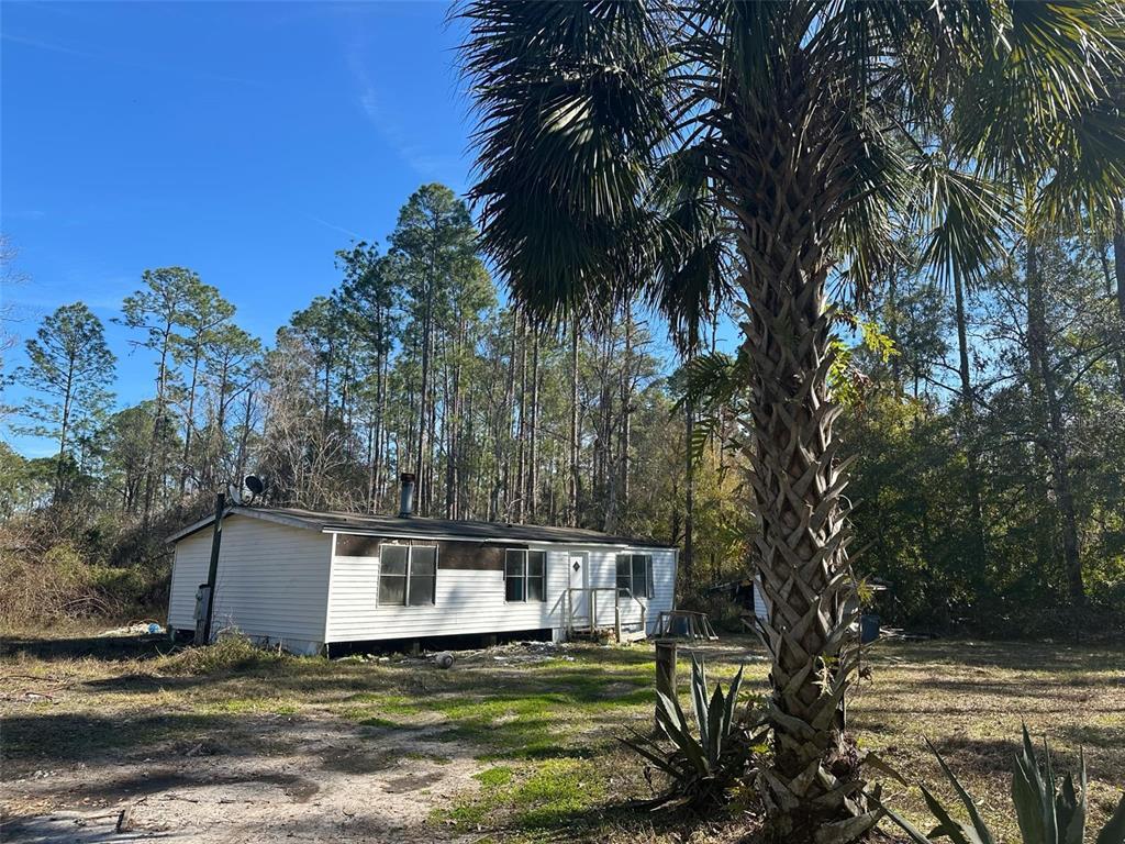 Picture of 1635 Berrybush Street, Bunnell, FL 32110