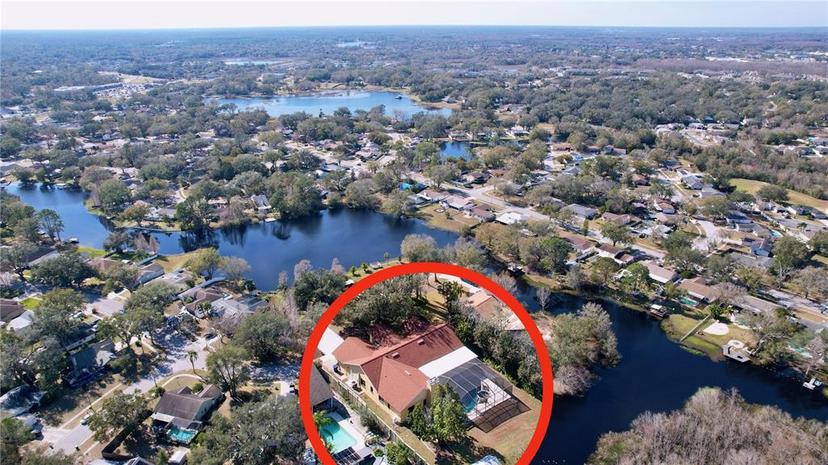 Picture of 1334 Windsor Way, Lutz FL 33559