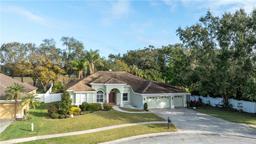 Picture of 2801 Norwood Hills Lane, Valrico, FL 33596