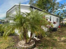 Picture of 8300 Seminole Boulevard Unit 413, Seminole, FL 33772