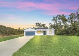 Picture of 14 Fisher Loop Pass, Ocklawaha, FL 32179