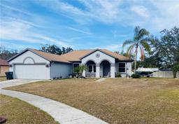 Picture of 4209 Amber Ridge Lane, Valrico, FL 33594