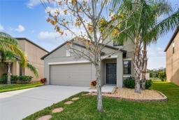 Picture of 11127 Hudson Hills Lane, Riverview, FL 33579