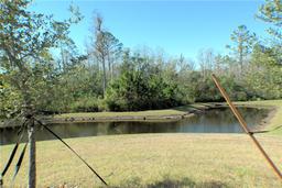 Picture of 16843 Forge Surf Street, Land O Lakes, FL 34638