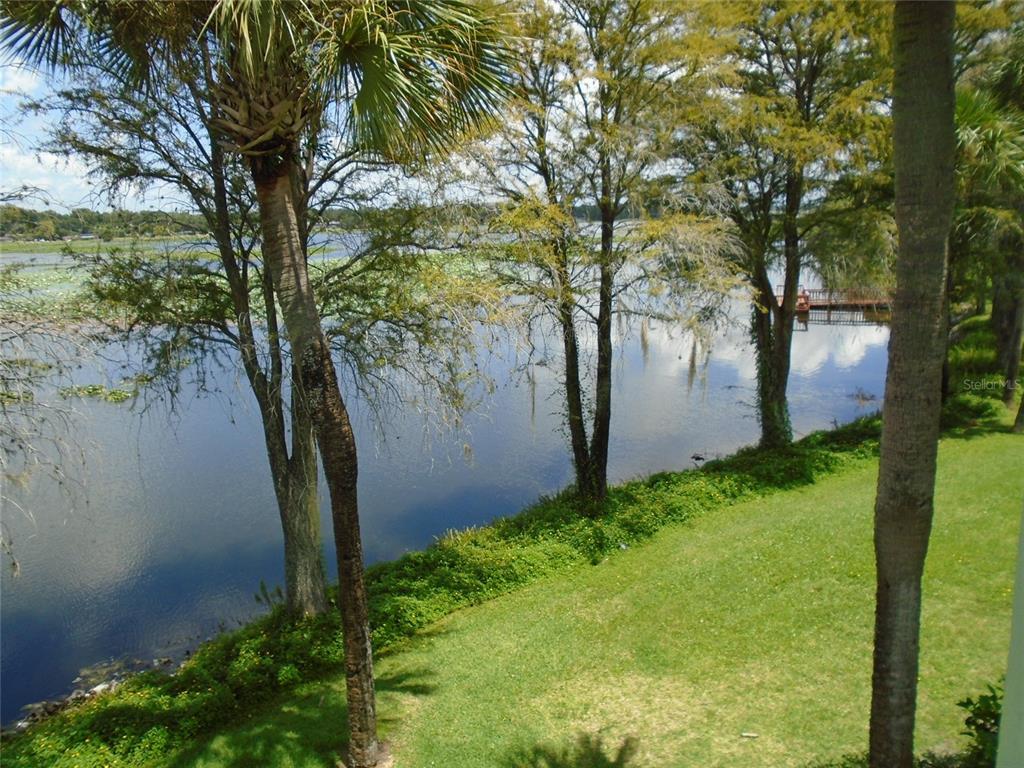 Picture of 1130 N Lake Parker Avenue Unit A202, Lakeland, FL 33805