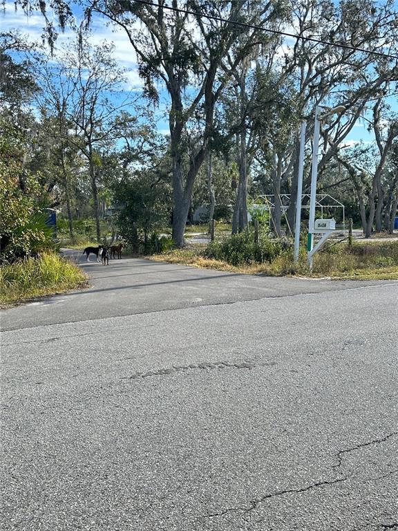 Picture of 3016 Saffold Road, Wimauma FL 33598