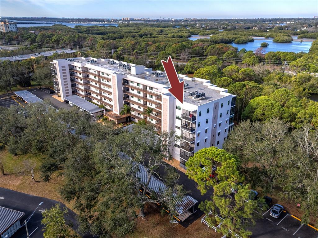 Picture of 8186 Terrace Garden Drive N Unit 609, St Petersburg, FL 33709