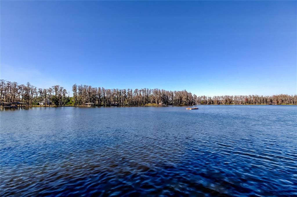 Picture of 6317 Discovery Lane, Land O Lakes, FL 34638