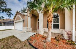 Picture of 1833 Hillcrest Street, Tarpon Springs, FL 34689