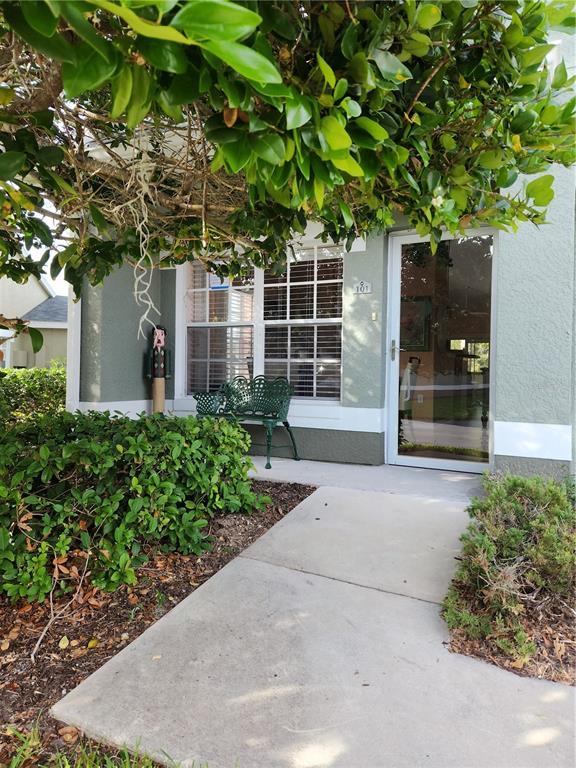 Picture of 3653 Kings Road Unit 101, Palm Harbor, FL 34685