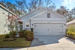 Picture of 32857 Brooks Hawk Lane, Wesley Chapel, FL 33543