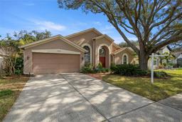 Picture of 3979 Jenita Drive, Palm Harbor, FL 34685