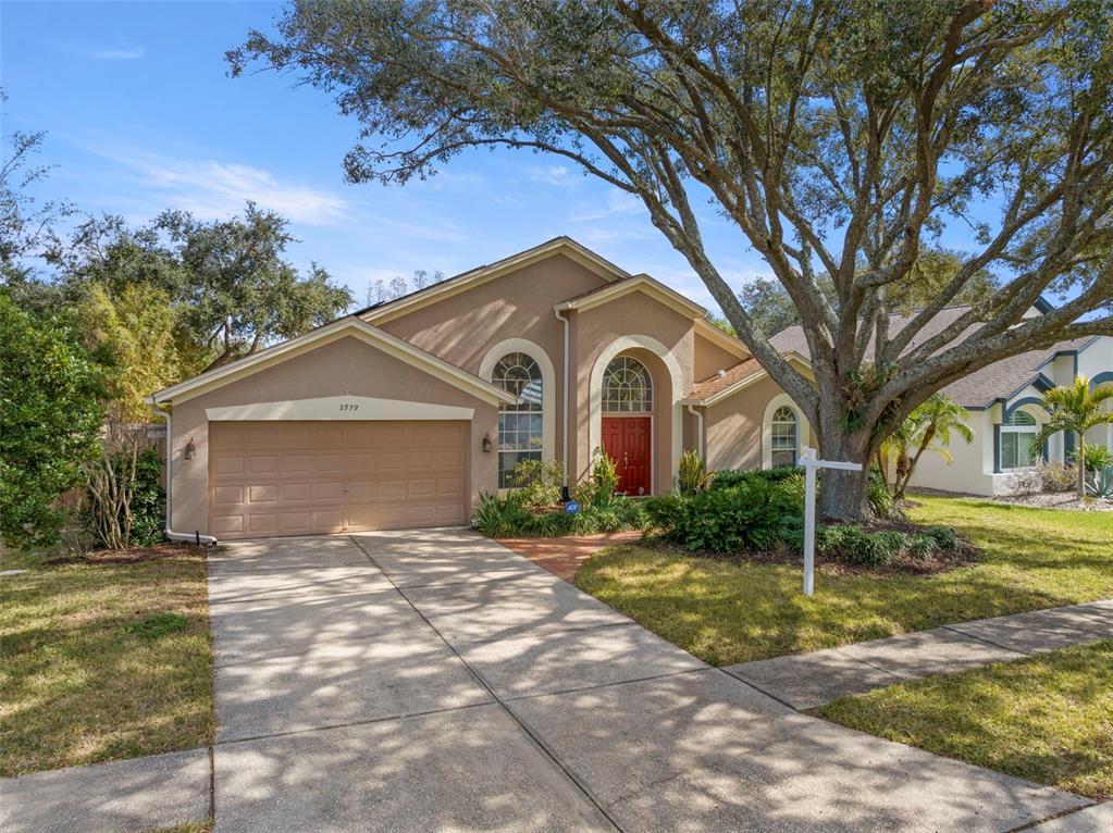 Picture of 3979 Jenita Drive, Palm Harbor, FL 34685