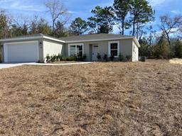 Picture of 10217 N Halsey Way, Dunnellon, FL 34434