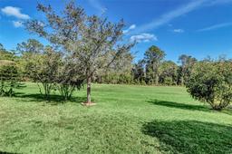 Picture of 3138 Dark Sky Drive, Harmony, FL 34773