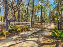 Picture of 19256 Hidden Oaks Drive, Brooksville, FL 34604