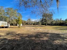 Picture of 14051 SE 203Rd Court, Umatilla, FL 32784