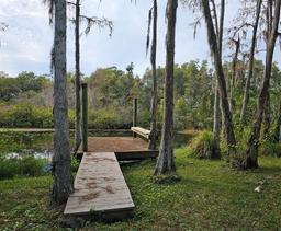 Picture of 21732 Bell Lake Road, Land O Lakes, FL 34639