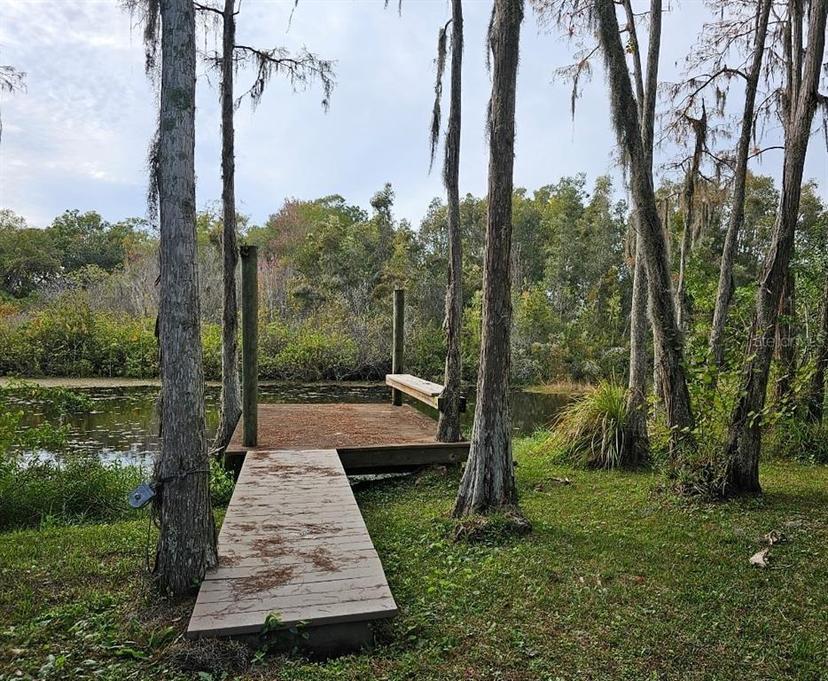 Picture of 21732 Bell Lake Road, Land O Lakes FL 34639