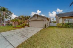 Picture of 11607 Branch Mooring Drive, Tampa, FL 33635