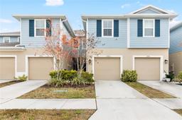 Picture of 2943 Rambler Ivy Loop, Brandon, FL 33510