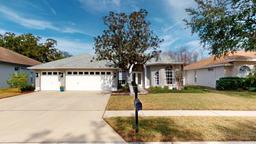 Picture of 8537 Orsi Court, Trinity, FL 34655