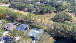 Picture of 3914 Turkey Oak Drive, Valrico, FL 33596