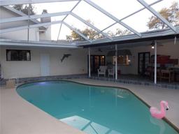 Picture of 2046 Winding Oaks Drive, Palm Harbor, FL 34683