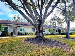 Picture of 1000 Dunrobin Drive Unit C, Palm Harbor, FL 34684