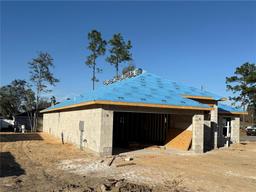 Picture of 8797 SE 161St Place, Summerfield, FL 34491