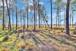 Picture of 6405 Five Acre Road, Plant City, FL 33565