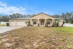 Picture of 10442 Bloomfield Hills Drive, Seffner, FL 33584