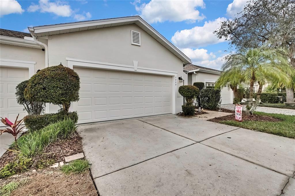 Picture of 7343 Cleopatra Drive, Land O Lakes, FL 34637