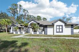 Picture of 1010 Emerald Creek Drive, Valrico, FL 33596