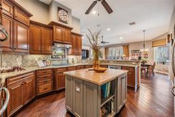 Picture of 19116 Sweet Clover Lane, Tampa, FL 33647