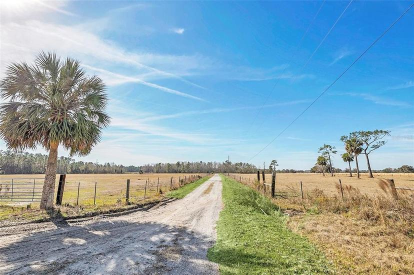 Picture of 26225 Pitts Road, Eustis FL 32736