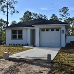 Picture of 20145 Willow Circle, Mount Dora, FL 32757