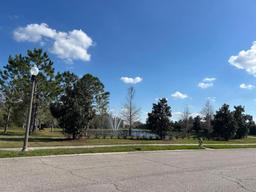 Picture of 2523 Econ Landing Boulevard, Orlando, FL 32825