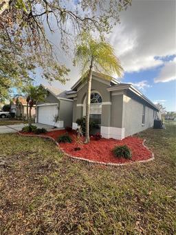 Picture of 10251 Oasis Palm Drive, Tampa, FL 33615