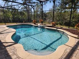 Picture of 602 Lochsmere Lane, Orlando, FL 32828